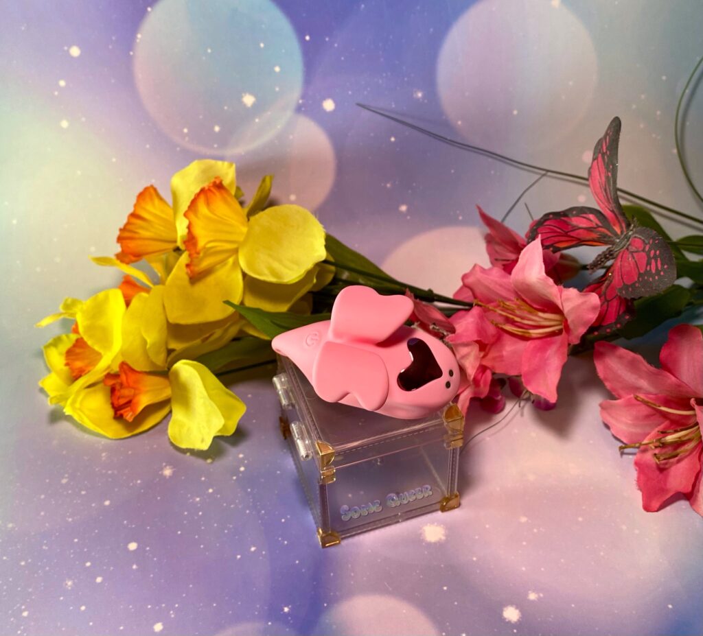 Pink butterfly-shaped vibrator sitting on top of a clear box, fake yellow and pink flowers are in the background.